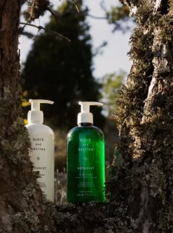 Best AANDBS01 Bjork & Berries Hand & Body Wash - Botanist