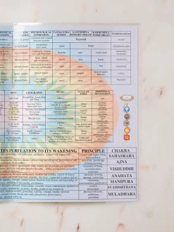Sale GAZELL01 Chakras Laminated Folded A4