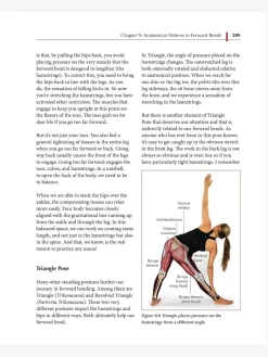 Sale HARPER01 Functional Anatomy of Yoga