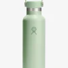 HYDROF01 Hydro Flask 621ml (21oz) Standard Mouth Bottle with Flex Cap - Aloe