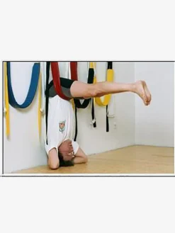JIVANA01 JivanaProps Pelvic Swing With Wall Kit