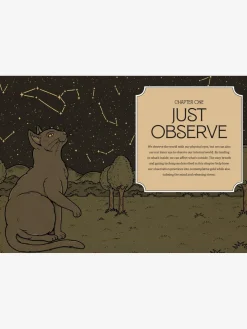 Discount ABRAMC01 Mystic Kitty - A cat's guide to meditaion