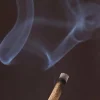 New NAMAST01 Om Nagchampa Incense - 40g