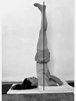 Outlet EYALSH01 Props for Yoga Volume 3: Inverted Asanas