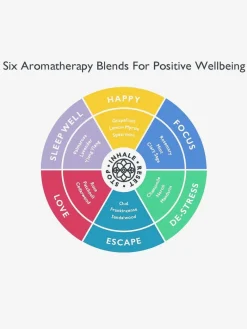 New FUNCTI01 Scentered Aromatherapy Discovery Tin