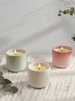 Sale STEVAL01 St. Eval Garden Path Candle Pot - Orange Blossom