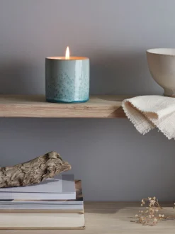 Sale STEVAL01 St. Eval Sea & Shore Candle Pot - Wild Gorse