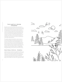 Best HACHET01 The Grounding Companion: Tap Into the Healing Power of Nature for Health, Longevity, and Vitality