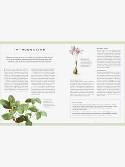 ABRAMC01 The Healing Herbal : Ancient and Modern Medicinal Plants