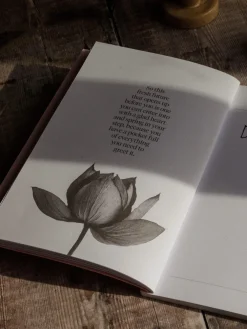 Online TURNAR01 The Inner Work Project Journal - Letters of Love