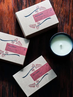 Hot WORLDL01 Worldly Aromas Palo Santo - 5 Sticks